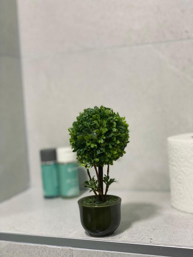 Sunshine Apartment 斯科普里 外观 照片
